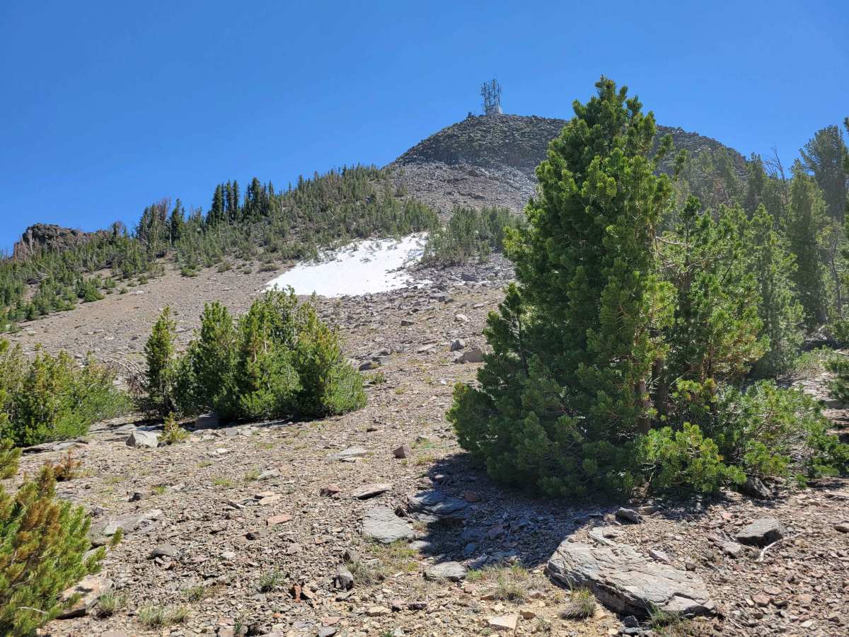 Hawkins Peak Road photo 4