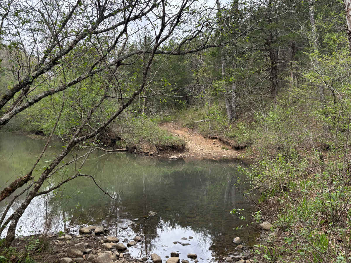 Brock Creek photo 2
