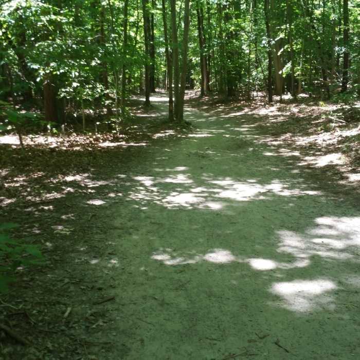 Near Burke Lake Trail