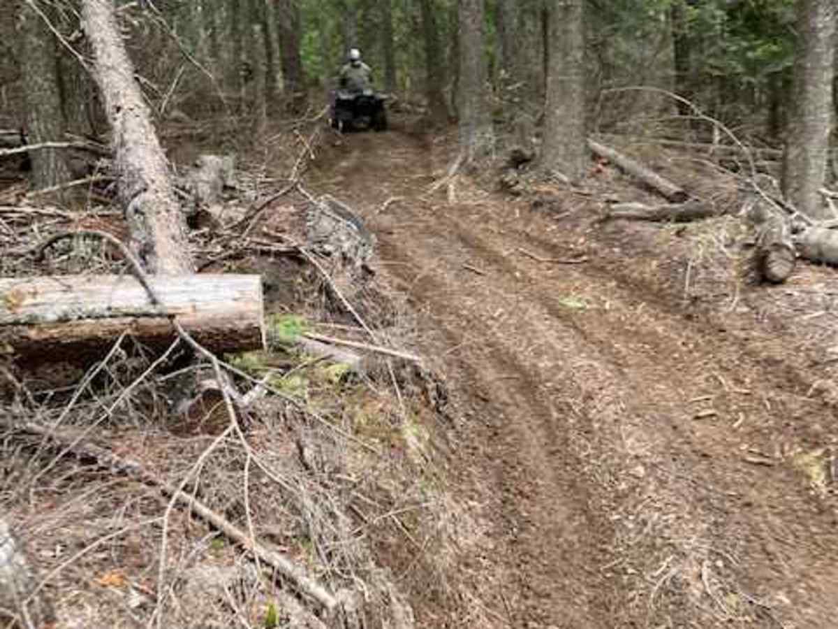 Kiawa Creek Trail photo 6