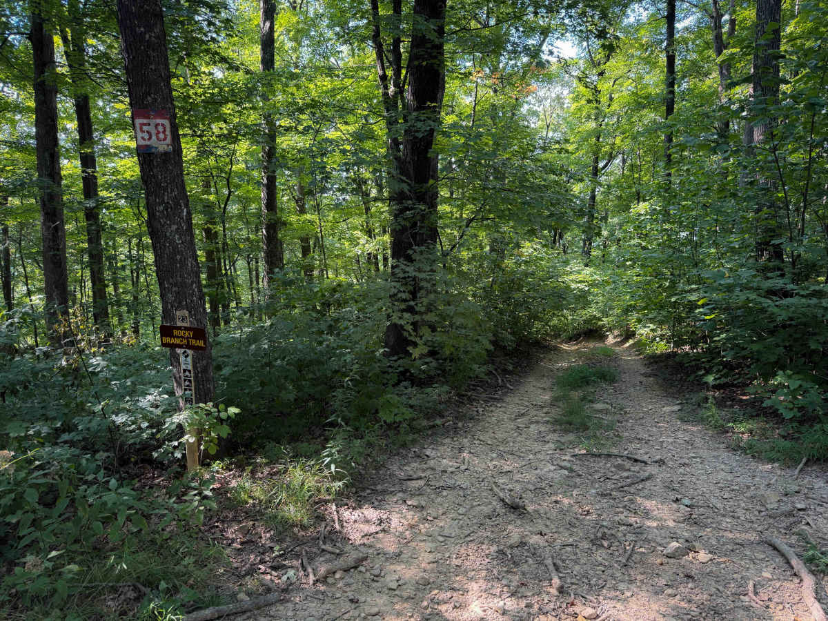 Rocky Branch Trail 23 photo 4