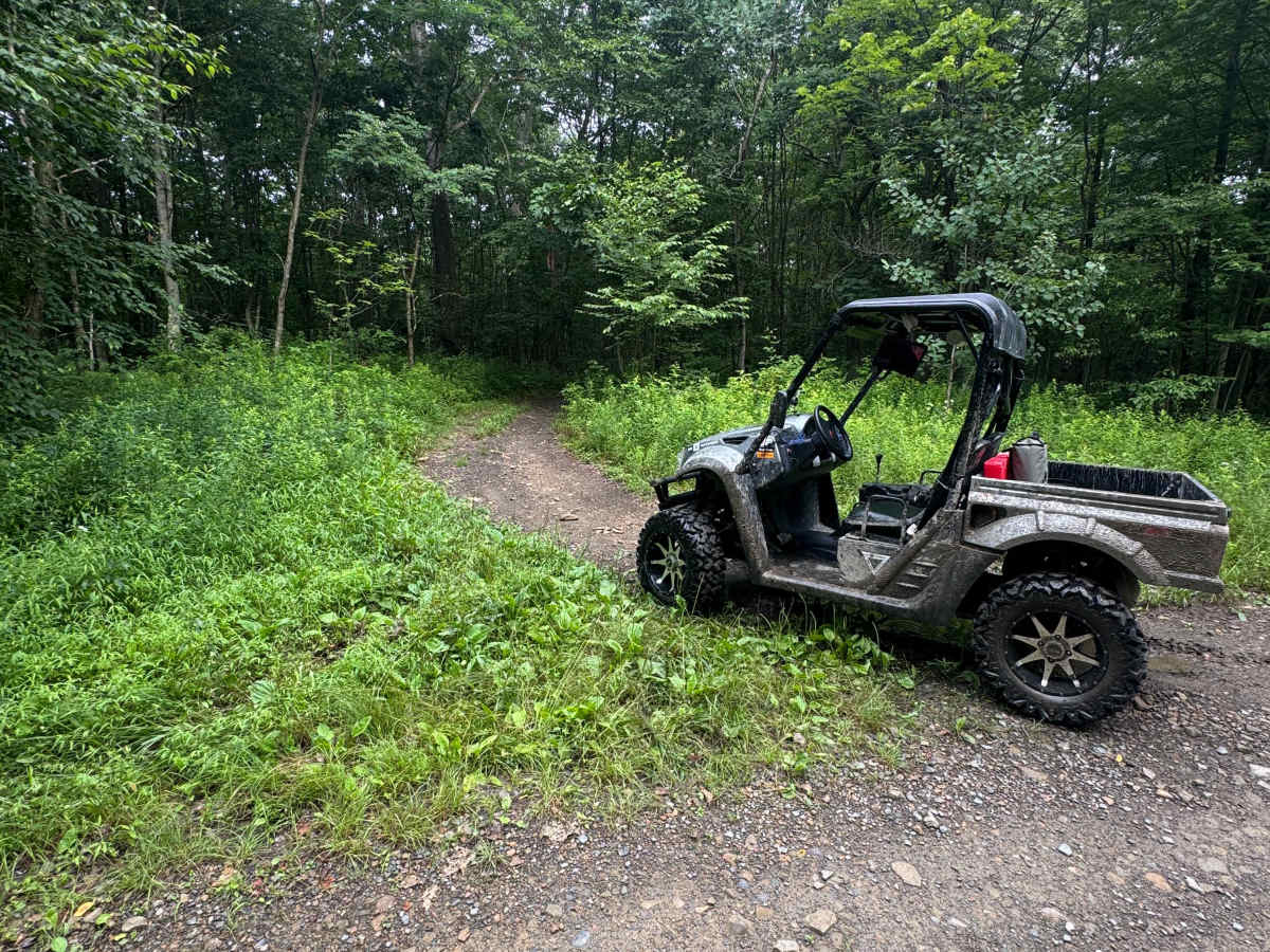 Trail 59 trail photo