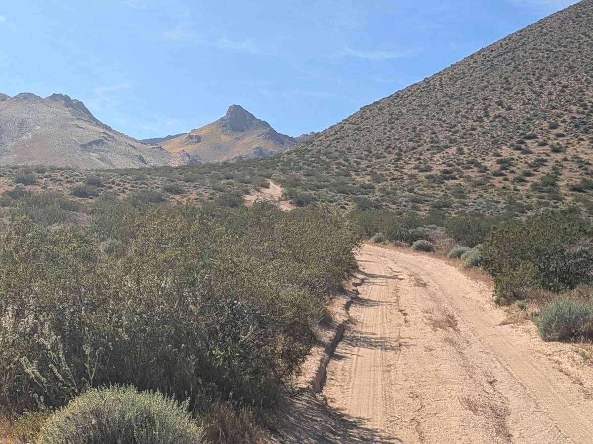 Leliter Road - BLM SE137 photo 2