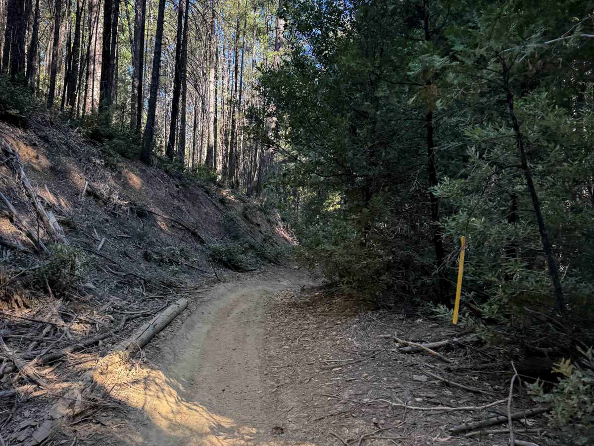 Trail 9 (11E13)  photo 3