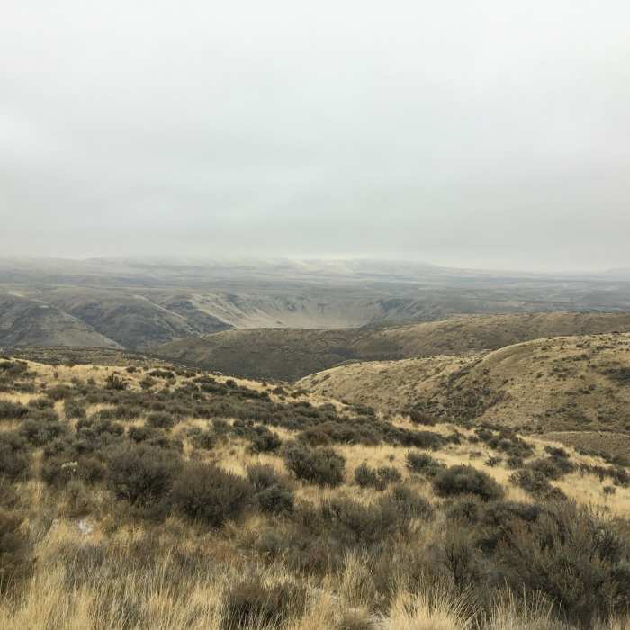 View of the Umtanum Ridge area from about halfway up the trail Near Umtanum Vista Trail
