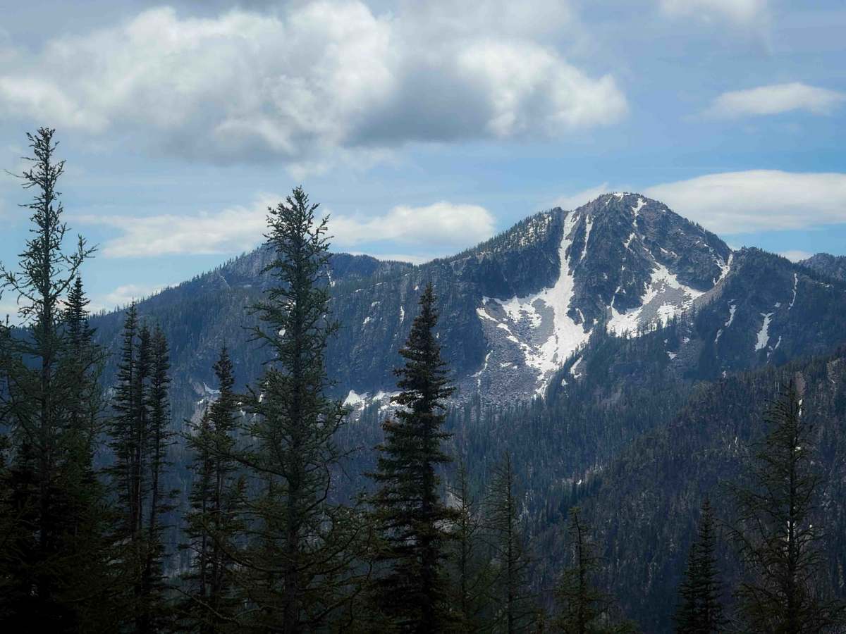 Foggy Dew Ridge - 438  photo 5