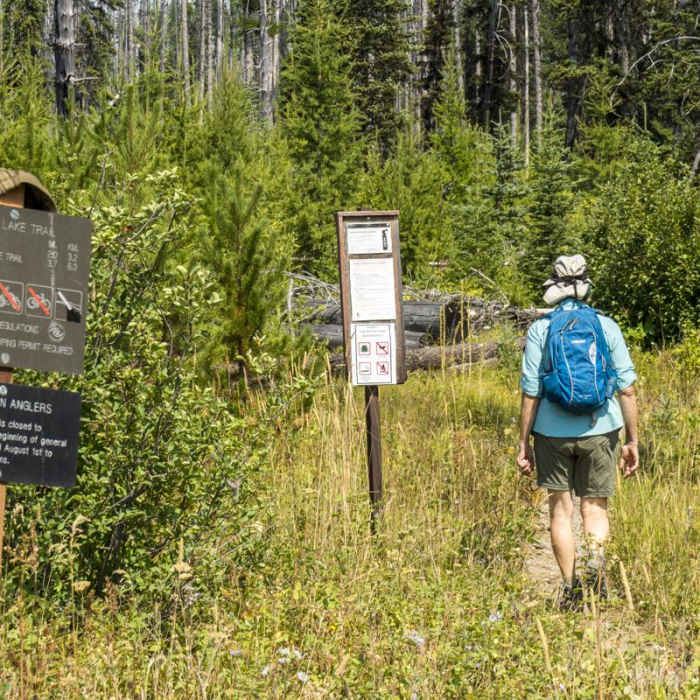 Near Howe Lake Trail