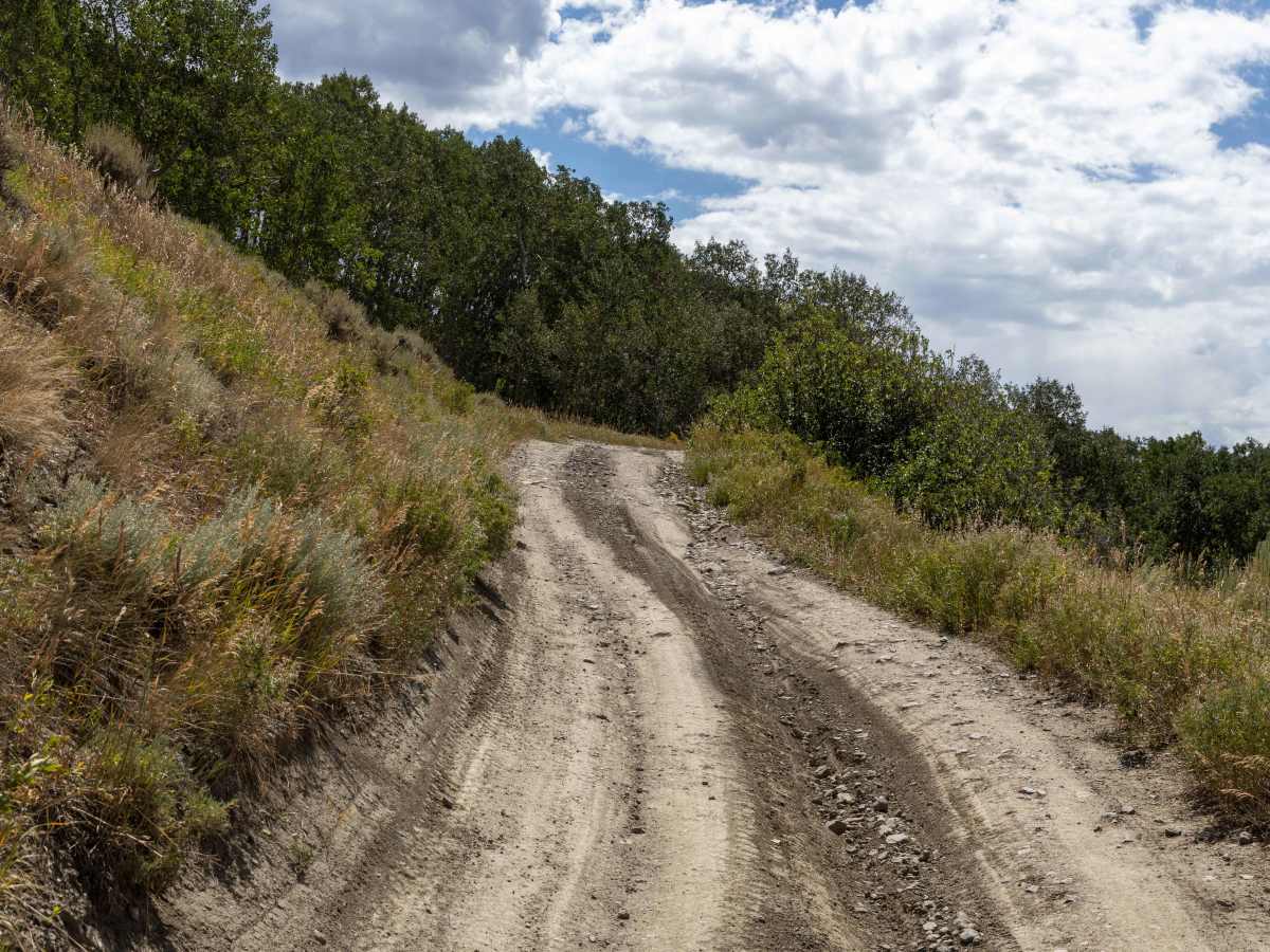 Williams Peak Road photo 4