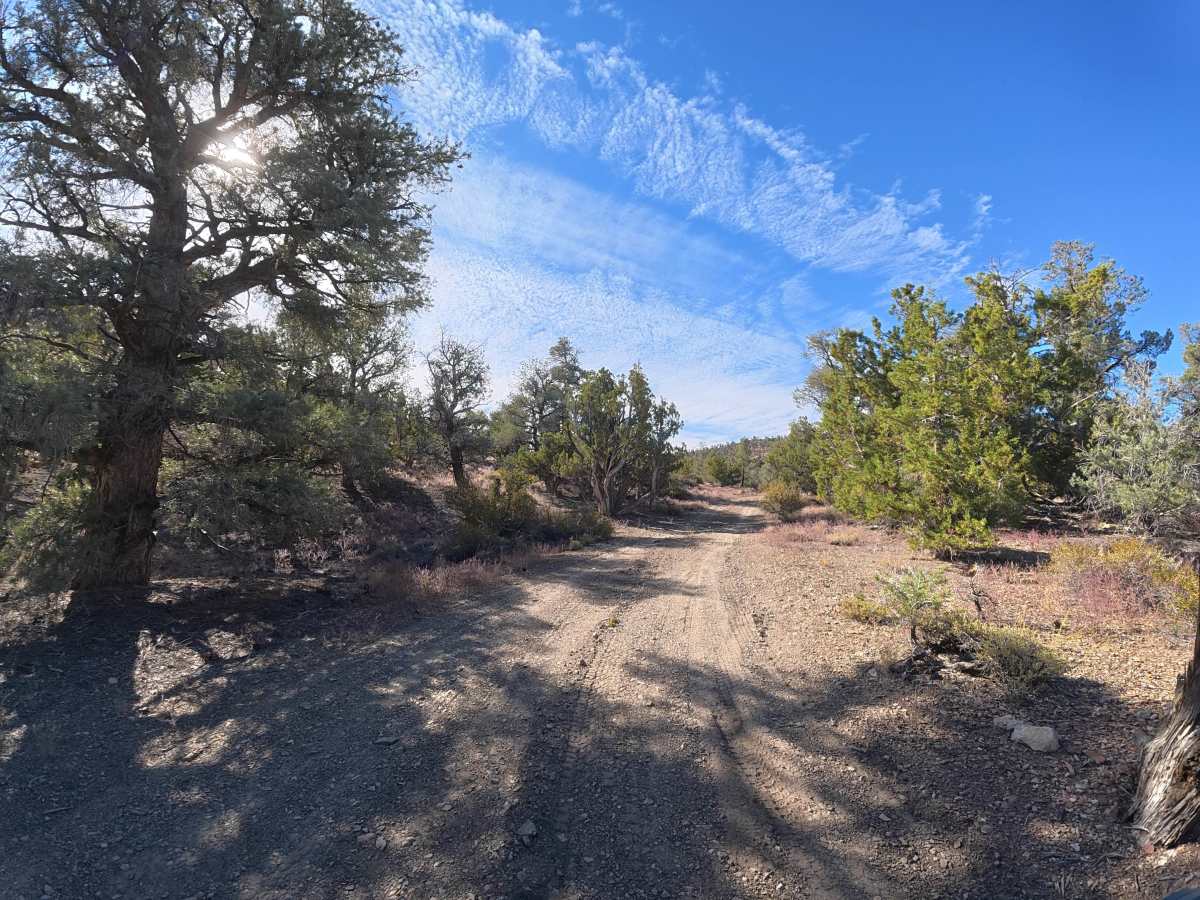 FS 35E308 trail photo