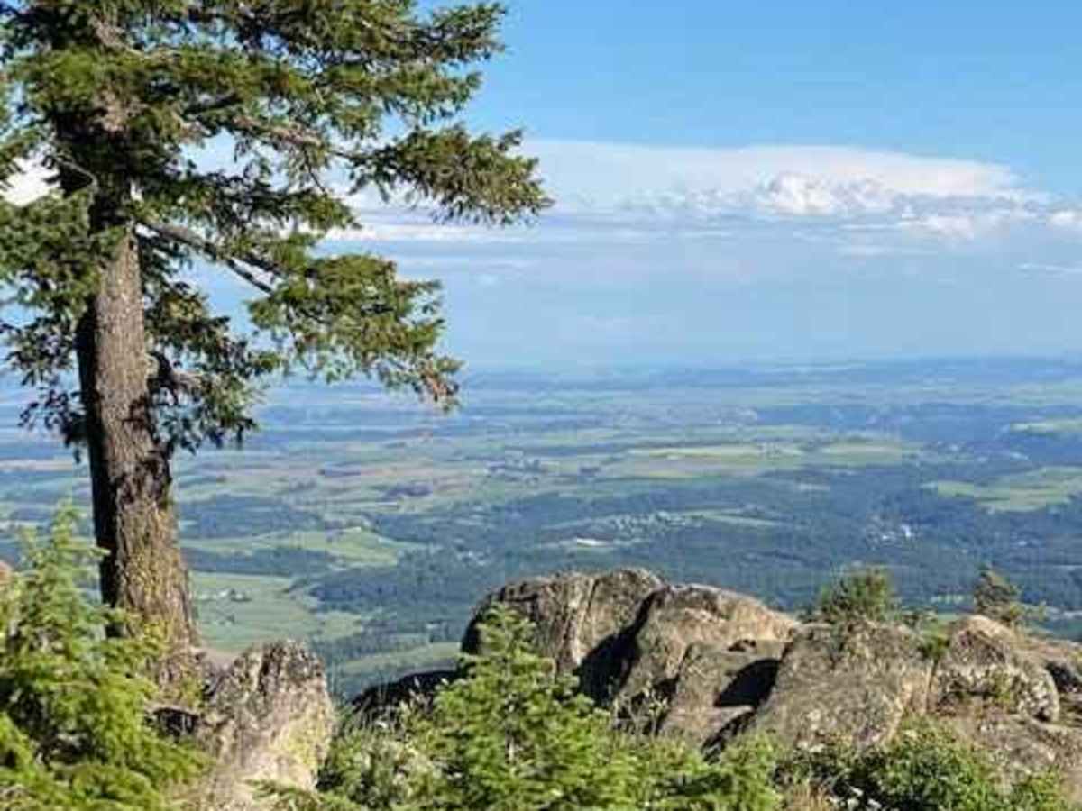 Moscow Mountain Lookout trail photo