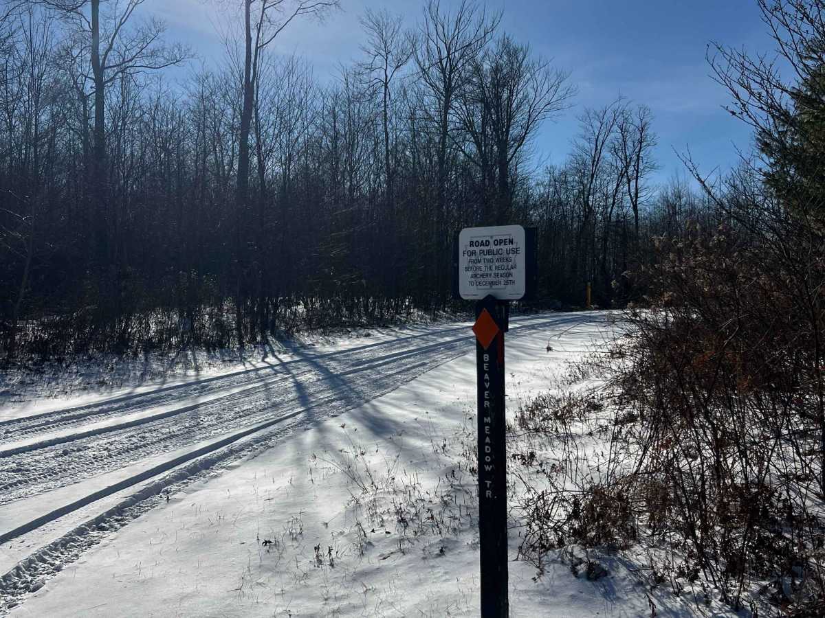 Shirk's Run Trail photo 2