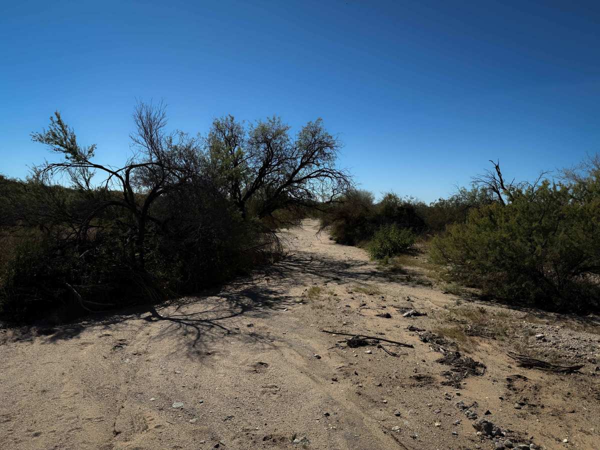 Lower Brady Wash trail photo