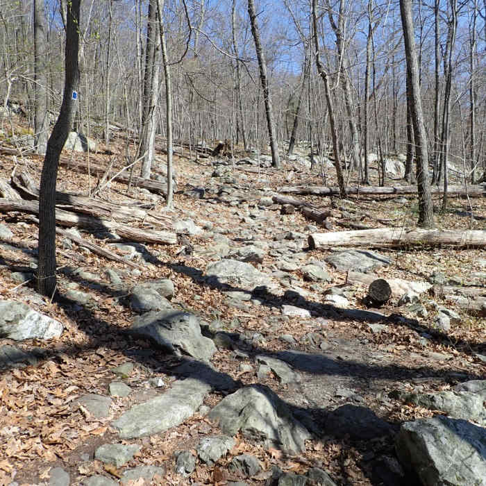 Near West Ridge Loop