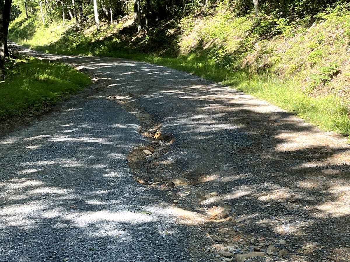 Hale Lake Road photo 4