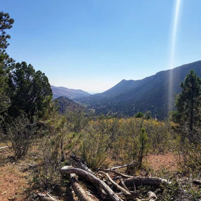 Near Mt. Dewey Trail - Summit Section