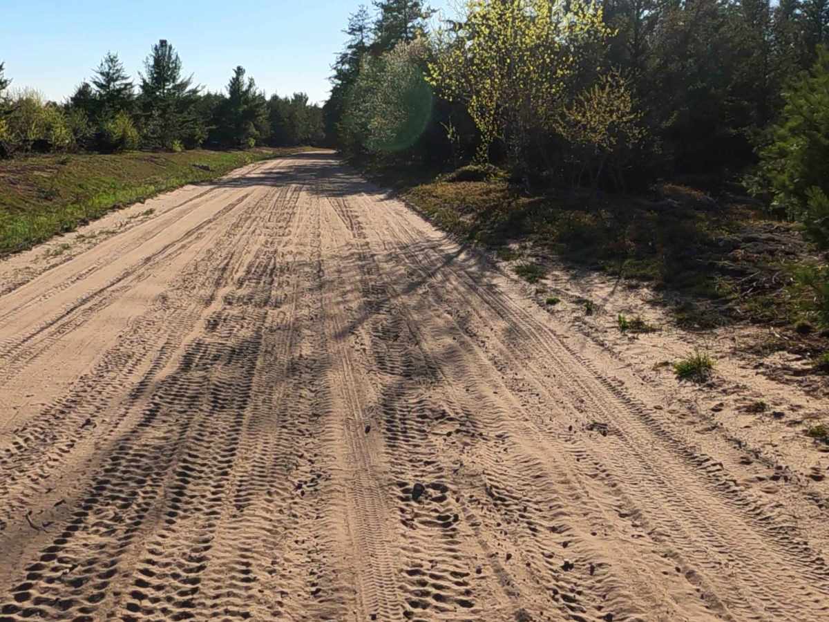 W Betsy River Road photo 2
