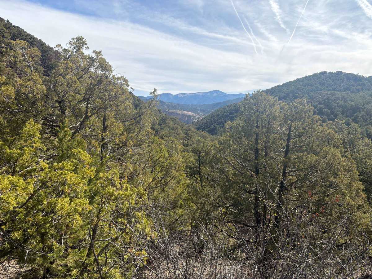 BLM 5971A photo 2