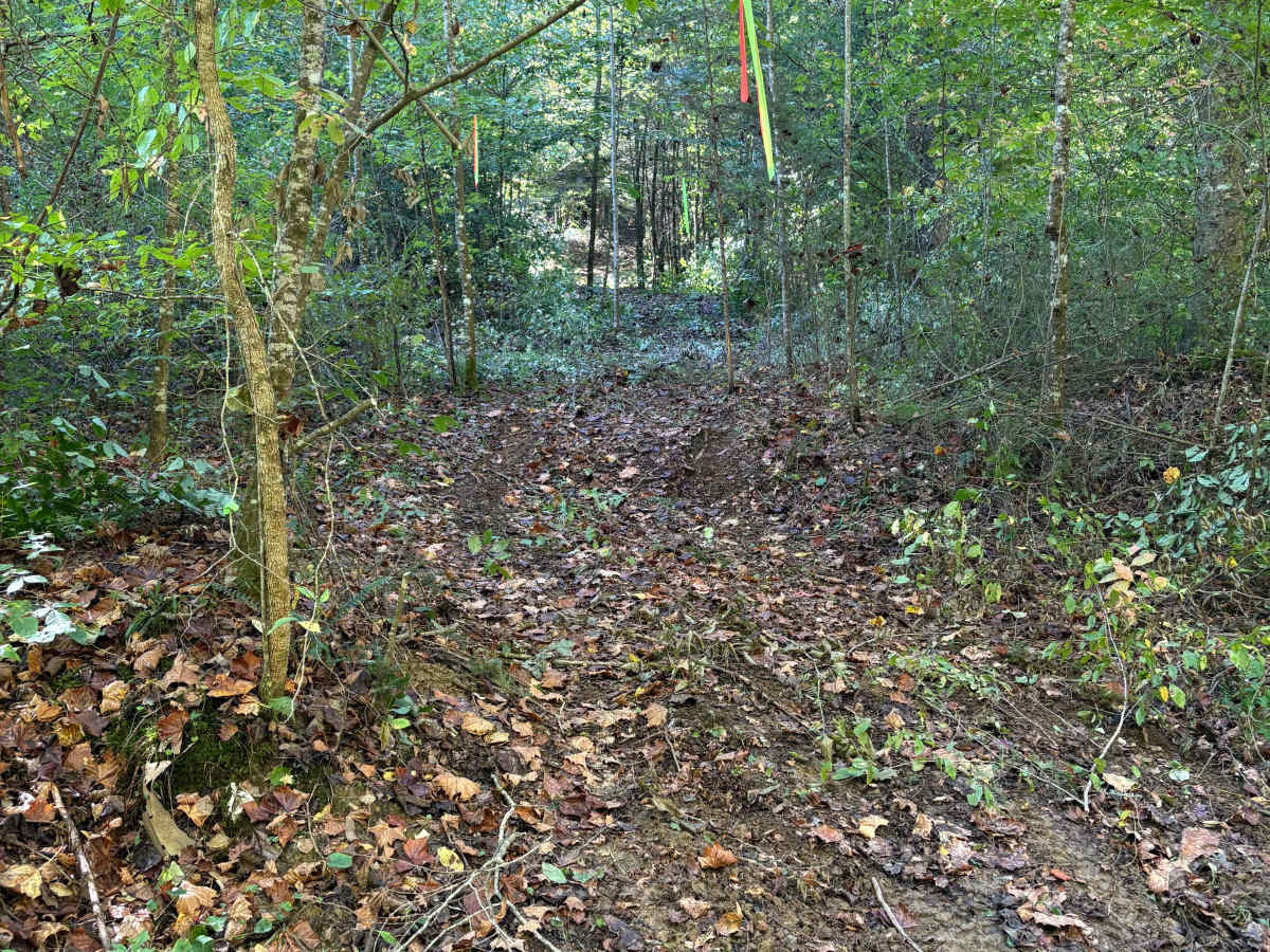 Trail 15 photo 5