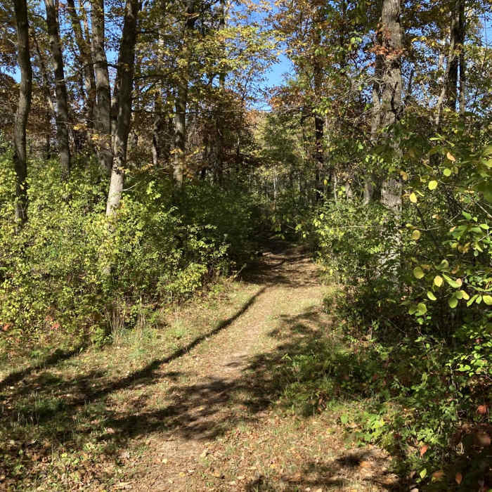 Near Southern Trails Loop