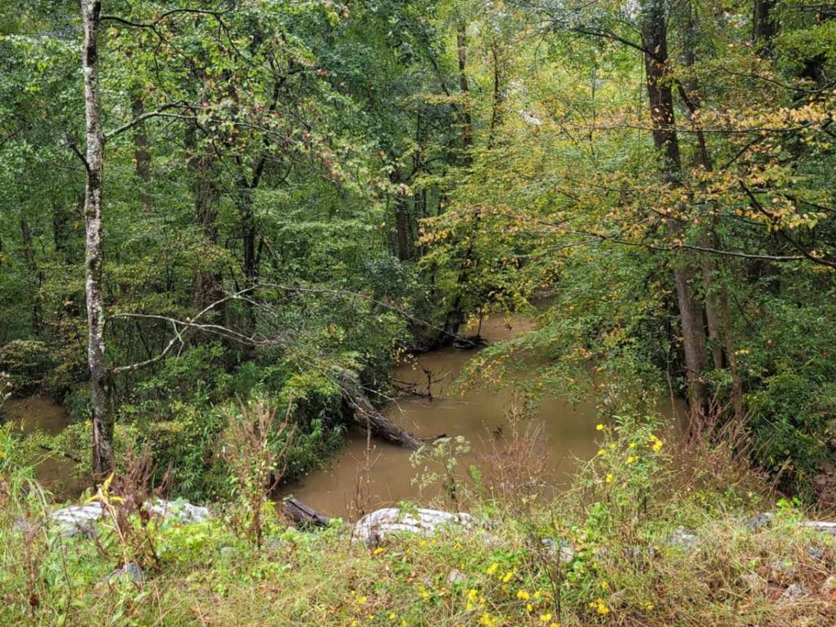 Turner Trail photo 2