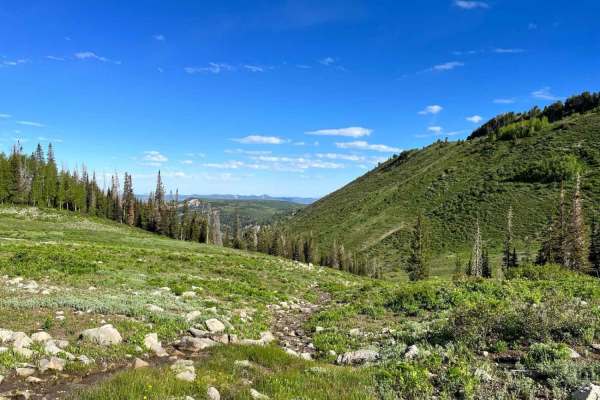 Middle Fork