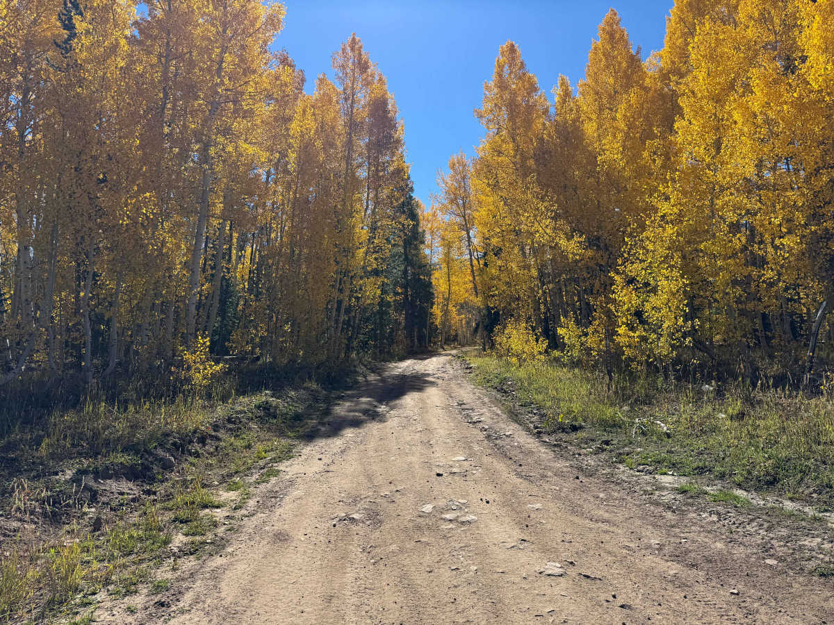 FS 413 trail photo