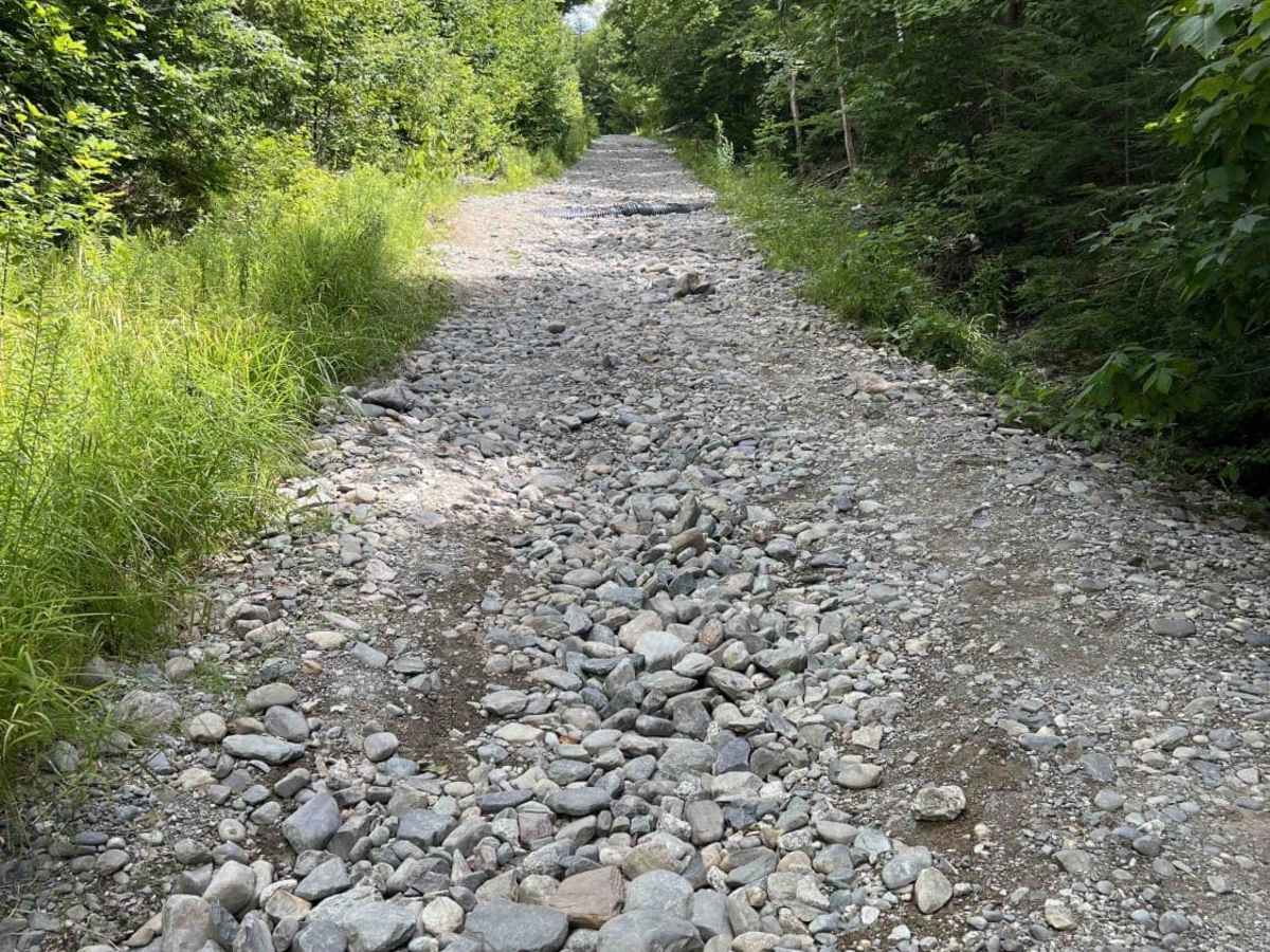 Bald Mountain Trail trail photo