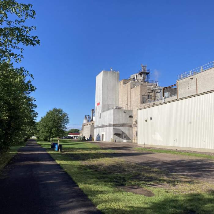 Near Old Abe State Trail