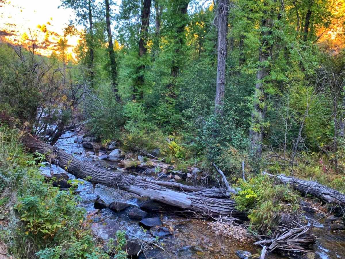 Potosi Willow Creek photo 4