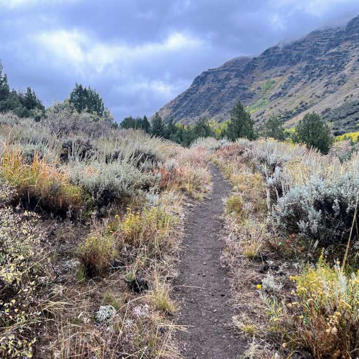 Near Steens Campground to Steens Mountain Near Steens Campground to Steens Mountain