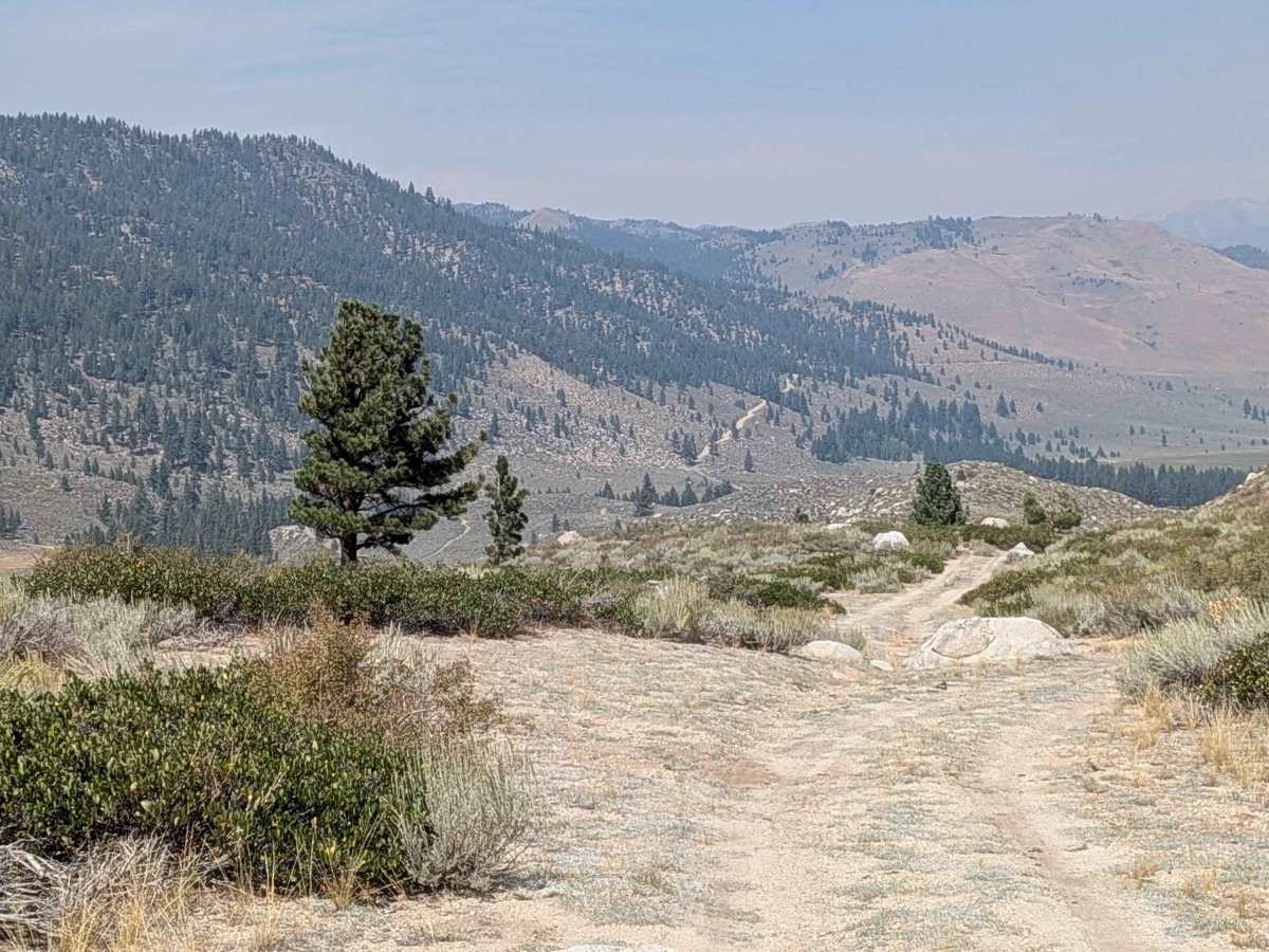 El Camino Estate Road - FS 32150 photo 5