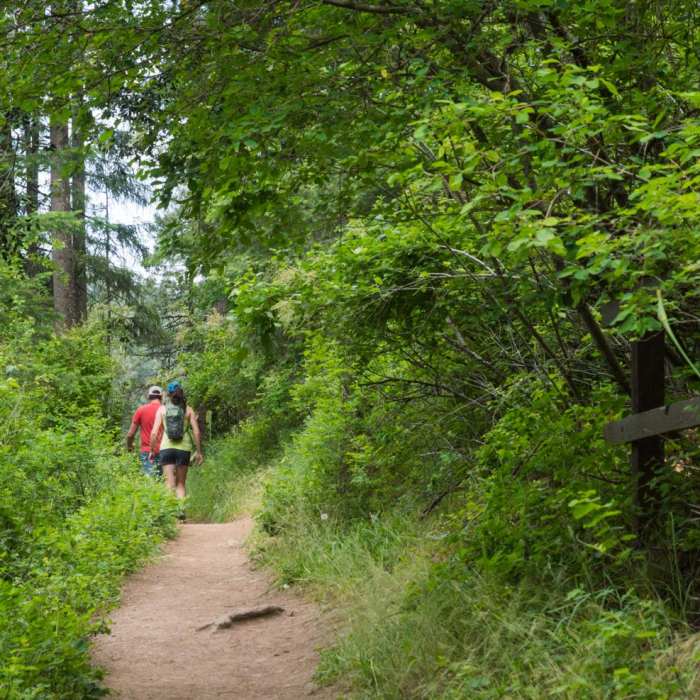 Near Mineral Ridge National Recreation Trail