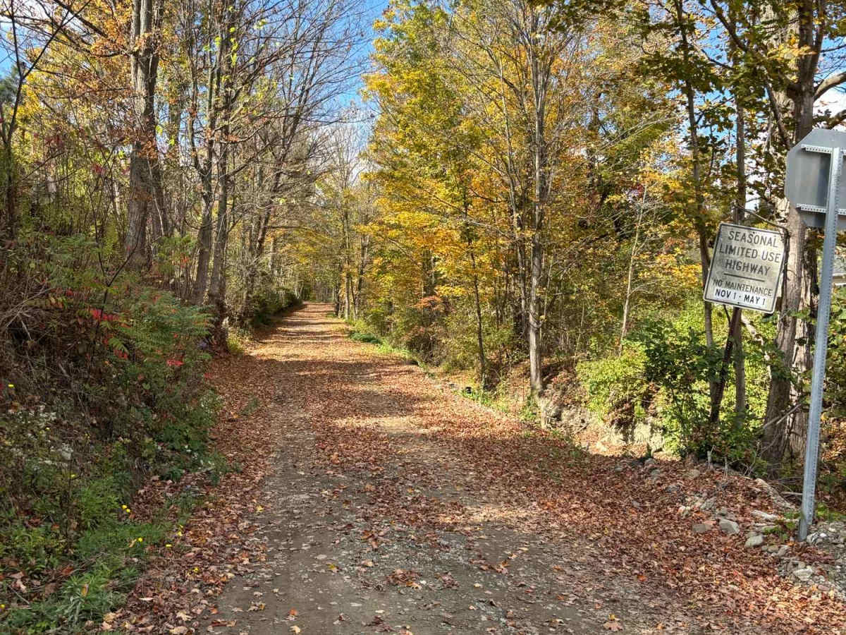 Cosgriff Road trail photo