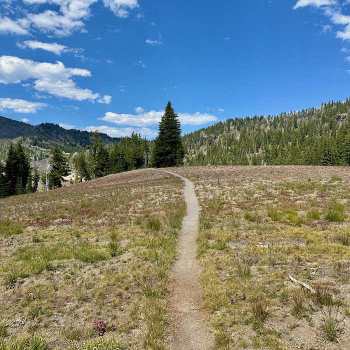 Near Park Meadow + Green Lakes via Pole Creek Trailhead