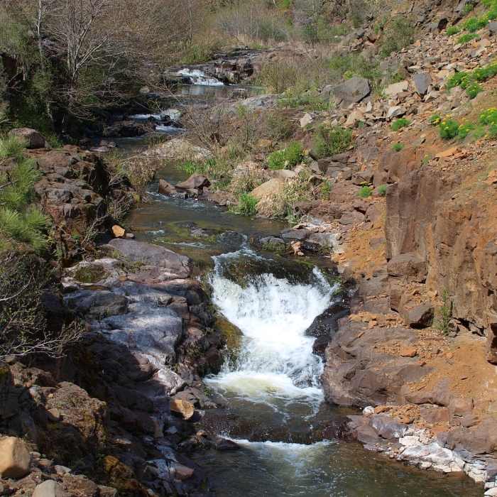 Near Klickitat Trail: Swale Canyon Segment