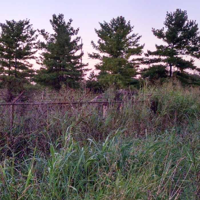 Near North Riverside Natural Area Loop