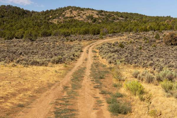 Dry Fork