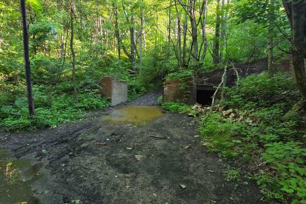 Single Track C2
