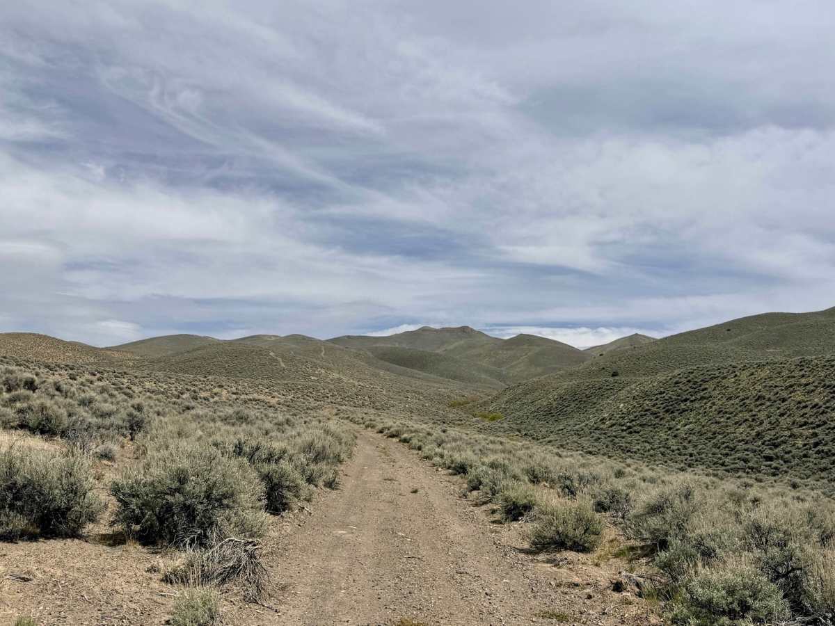 Cottonwood Canyon photo 6