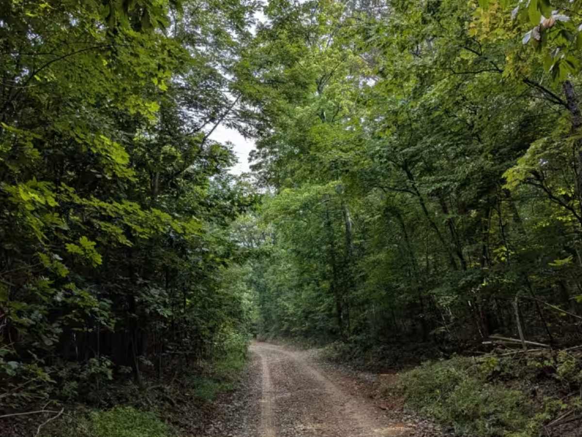 Rally Road photo 6