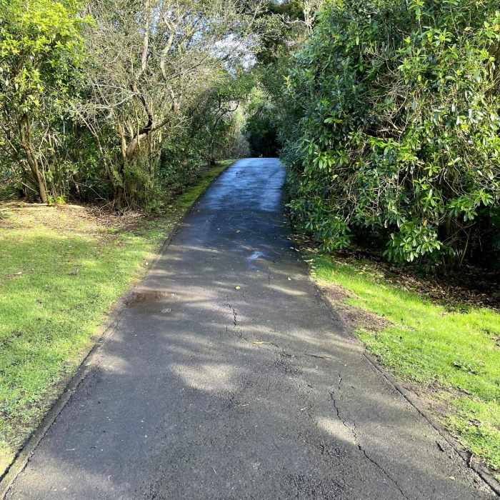 Near Western Springs Lakeside Loop Near Western Springs Lakeside Loop