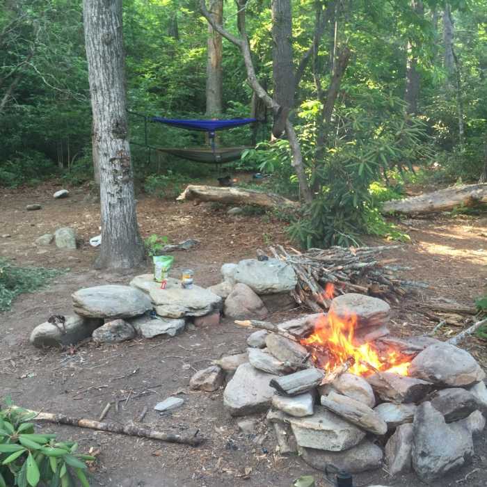 Near Linville Gorge Trail