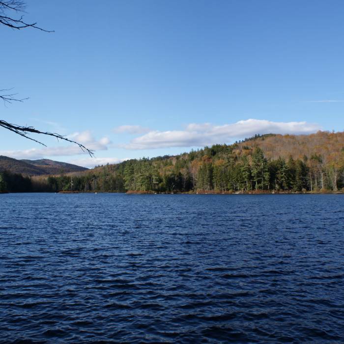 Little Concord Pond Near Bald-Speckled Out and Back