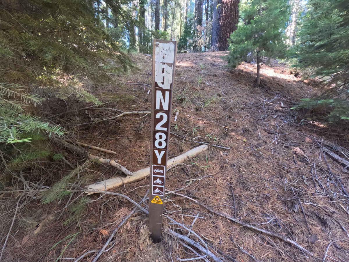 FS 6N28Y trail photo