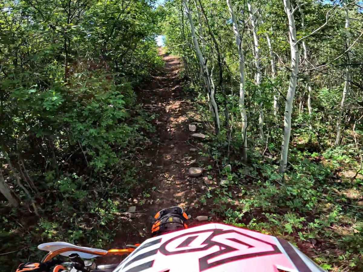 Spring Creek photo 4