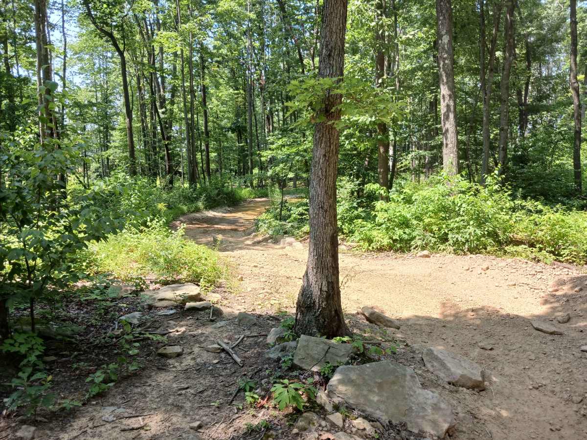 Gobbler Ridge - Rock Run Recreation Area photo 5