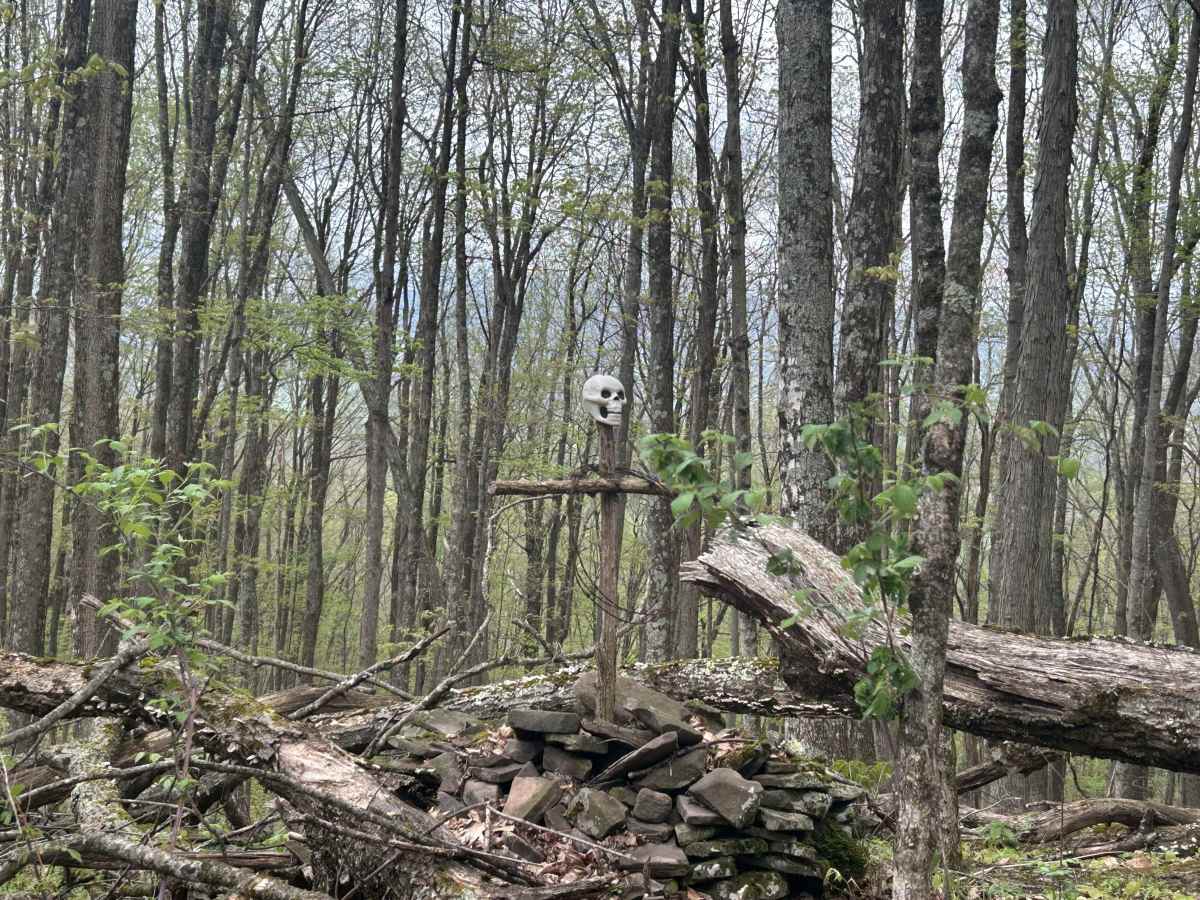 Chestnut Ridge Road photo 6