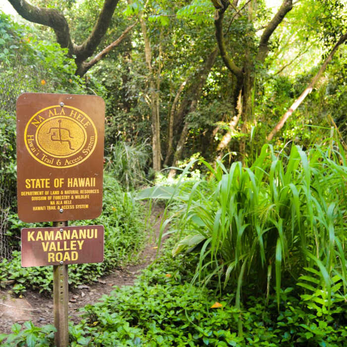 Near Kamananui Valley Road Near Kamananui Valley Road