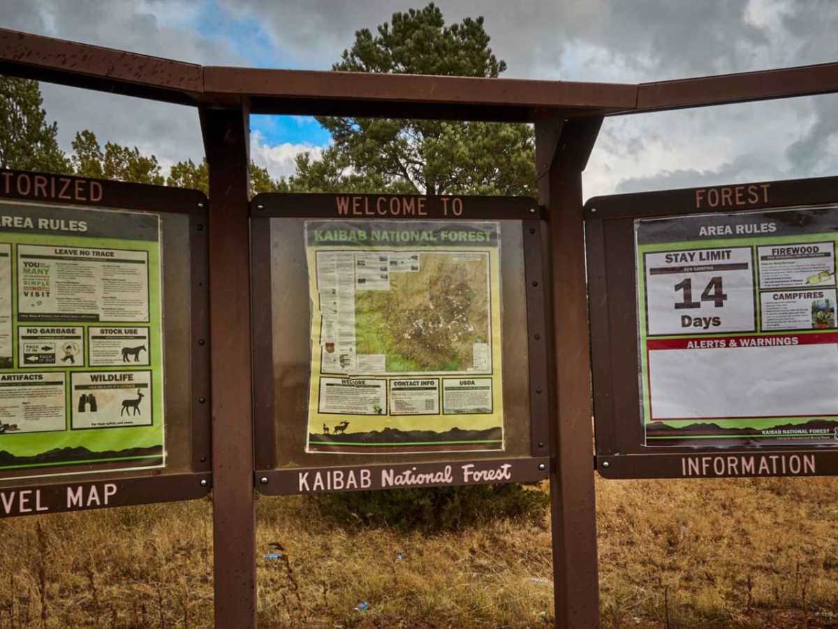 FR 141 trail photo