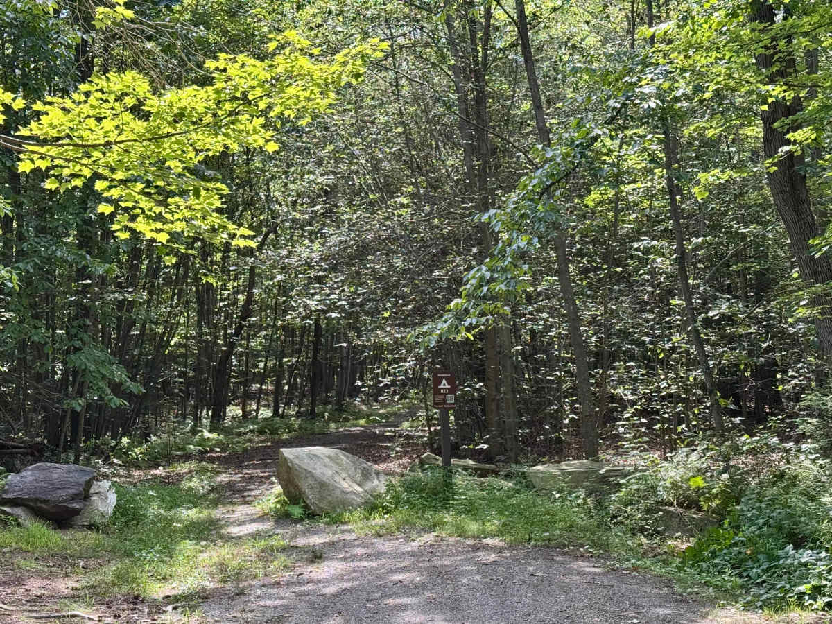 High Rock Road photo 6